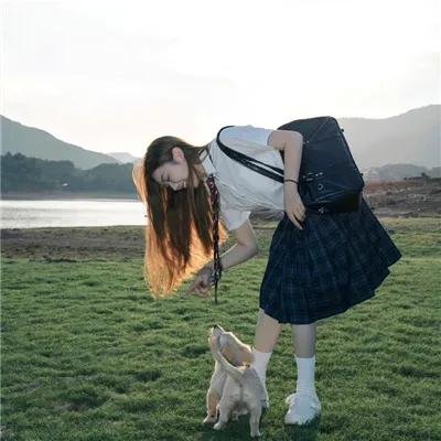 菊花香